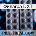 Филагра DXT 31